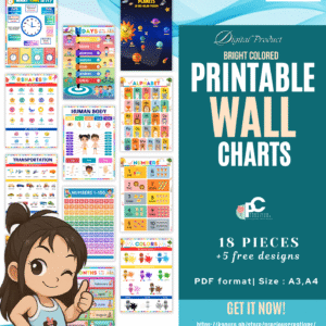 Wall Charts / Educational Posters in Bright Color Bundle