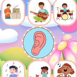 5 Senses detachable activity