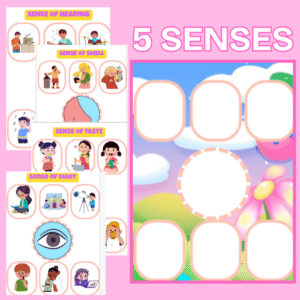 5 Senses Chart detachable/ Sorting activities