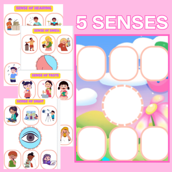 5 Senses Chart detachable/ Sorting activities