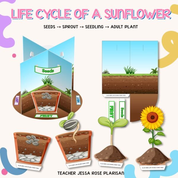 Sequence of Events / Life Cycles / Routine - Image 3