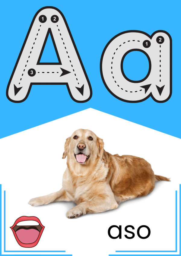 Alphabet Flashcards