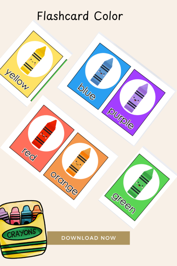 Color Flashcards