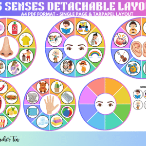 5 SENSES DETACHABLE IMs