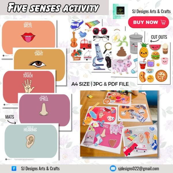 FIVE SENSES SORTING ACTIVITY
