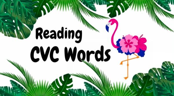 CVC Words (115 words)