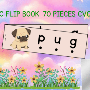 CVC Words Flip Book