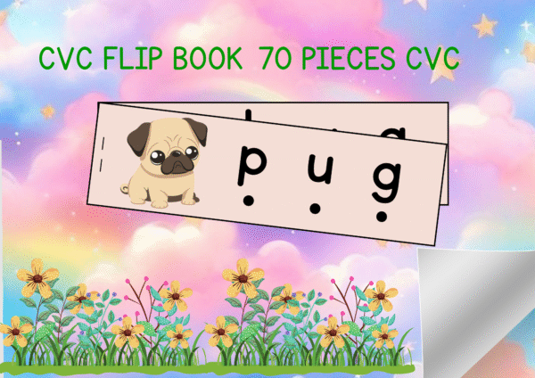CVC Words Flip Book
