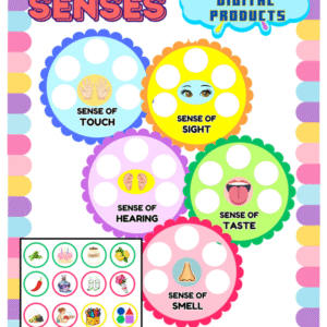 FIVE SENSES