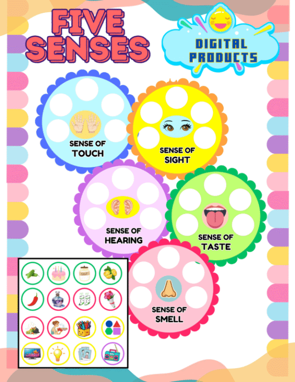 FIVE SENSES