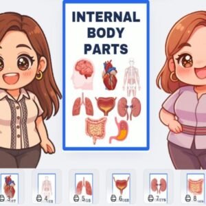 Matatag Kindergarten INTERNAL BODY PARTS