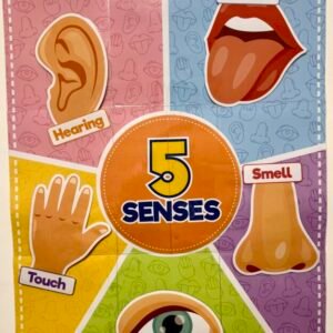 Five senses