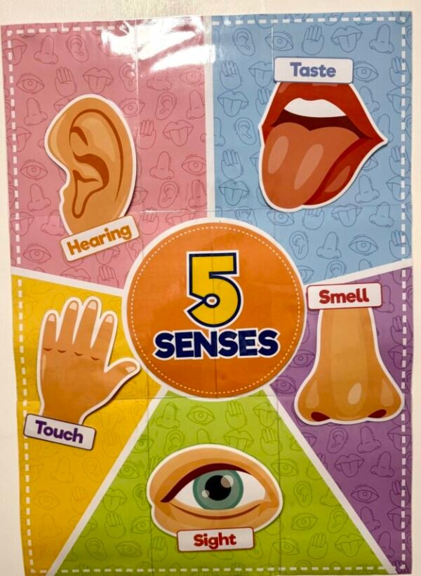Five senses