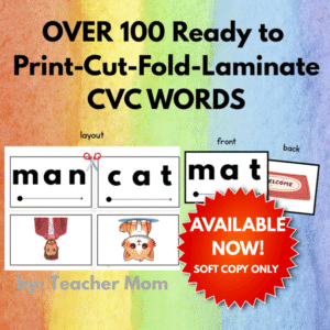OVER 100 CVC WORDS FLASHCARDS