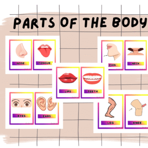 PARTS FOF THE BODY-digital copy
