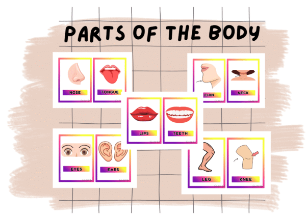 PARTS FOF THE BODY-digital copy
