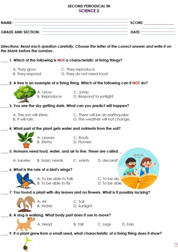 📝 Grade 3 Periodical Test Quarter 2 - Image 5