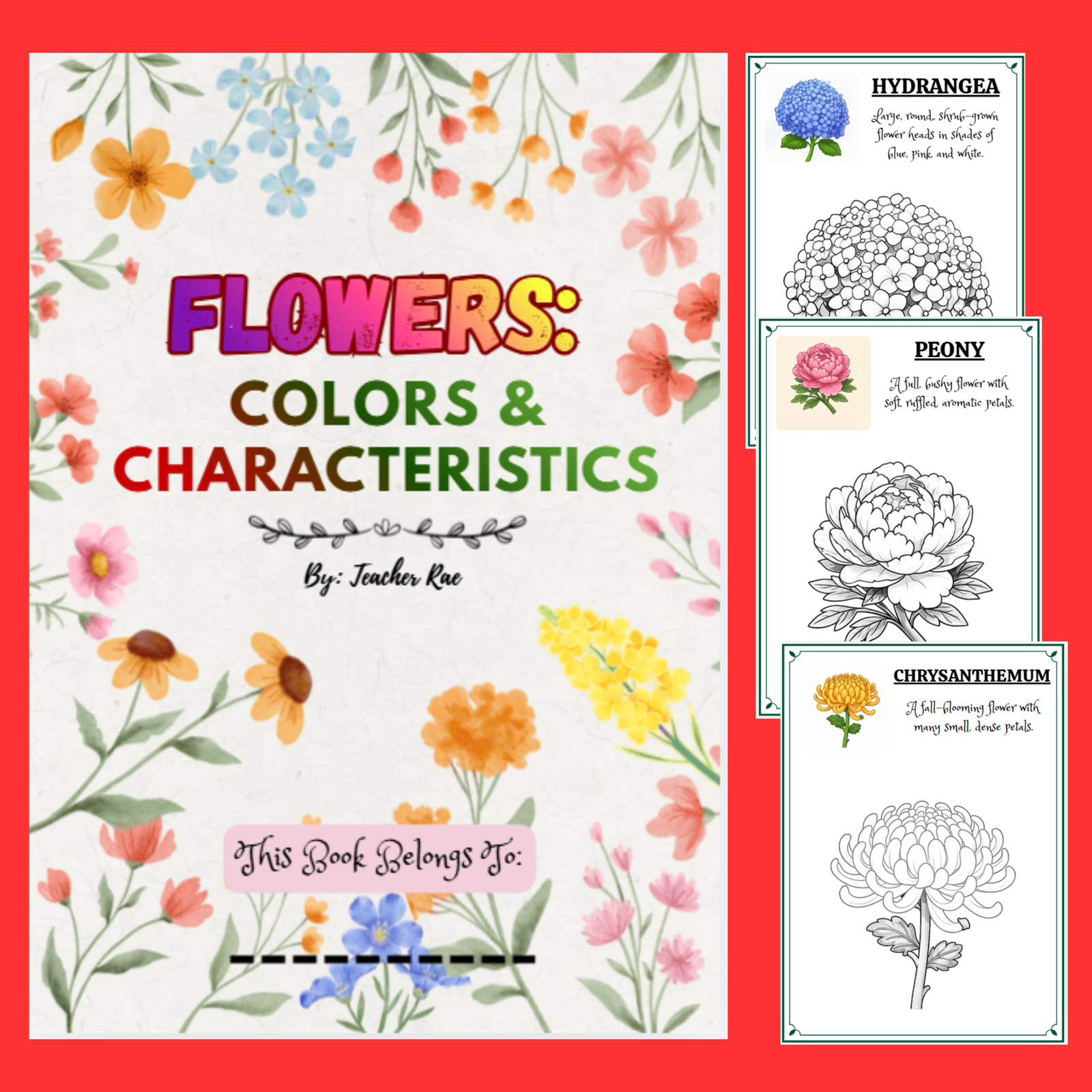 Flower: Colors and Characteristics | 100 pages | Printable for Preschool to Grade 3