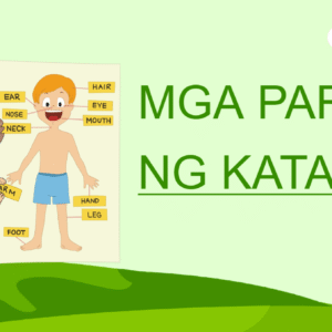 Mga Parte ng Katawan