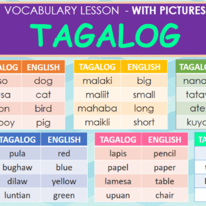 Vocabulary Review {Freebie Learning Posters 31pages}