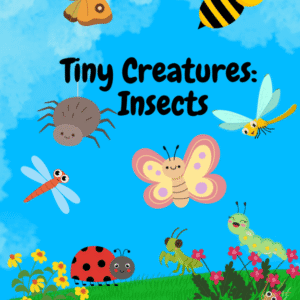 Tiny Creatures: Insects