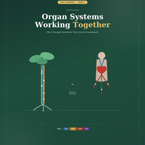 Grade 8 Science DLL: Organ Systems Working Together (Plant Transport System) - Week 2