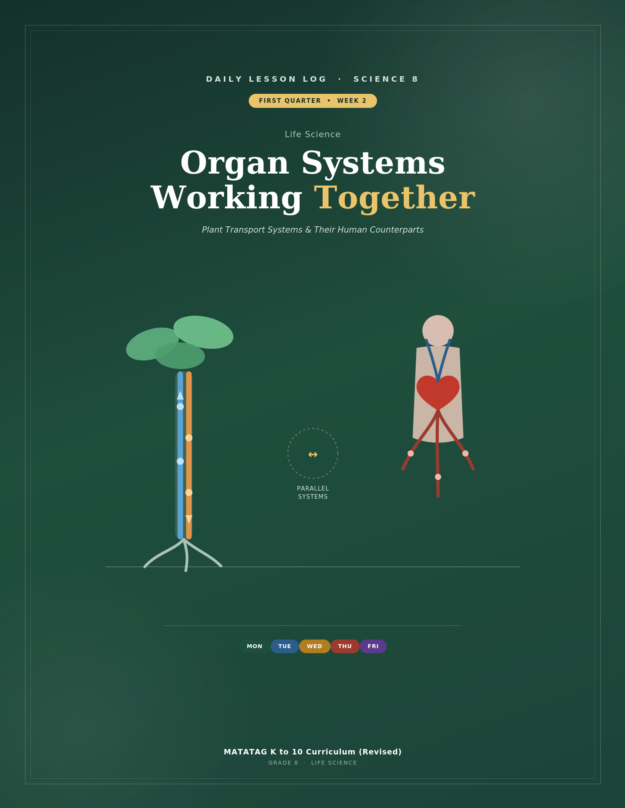 Grade 8 Science DLL: Organ Systems Working Together (Plant Transport System) - Week 2