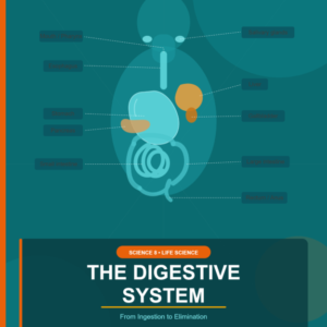 Science 8: The Human Digestive System – Daily Lesson Log (Week 1)