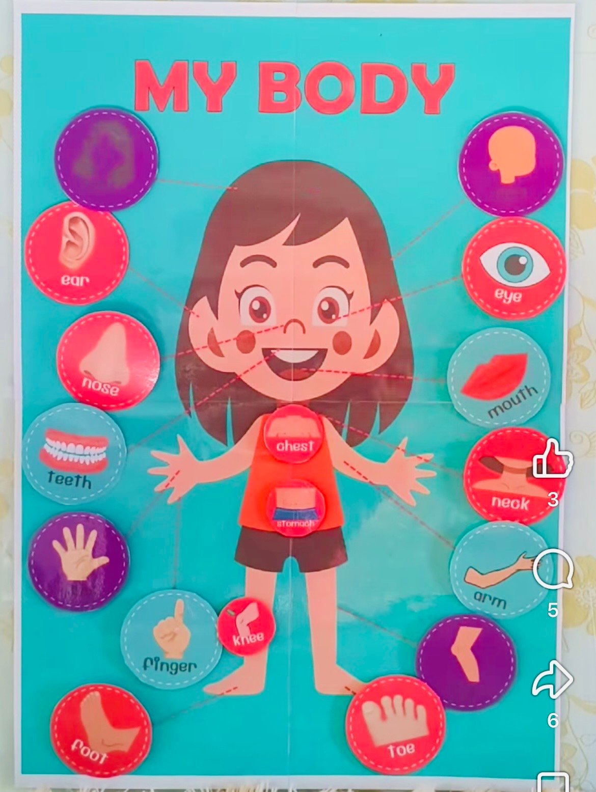 MY BODY INTERACTIVE ACTIVITY - Image 2
