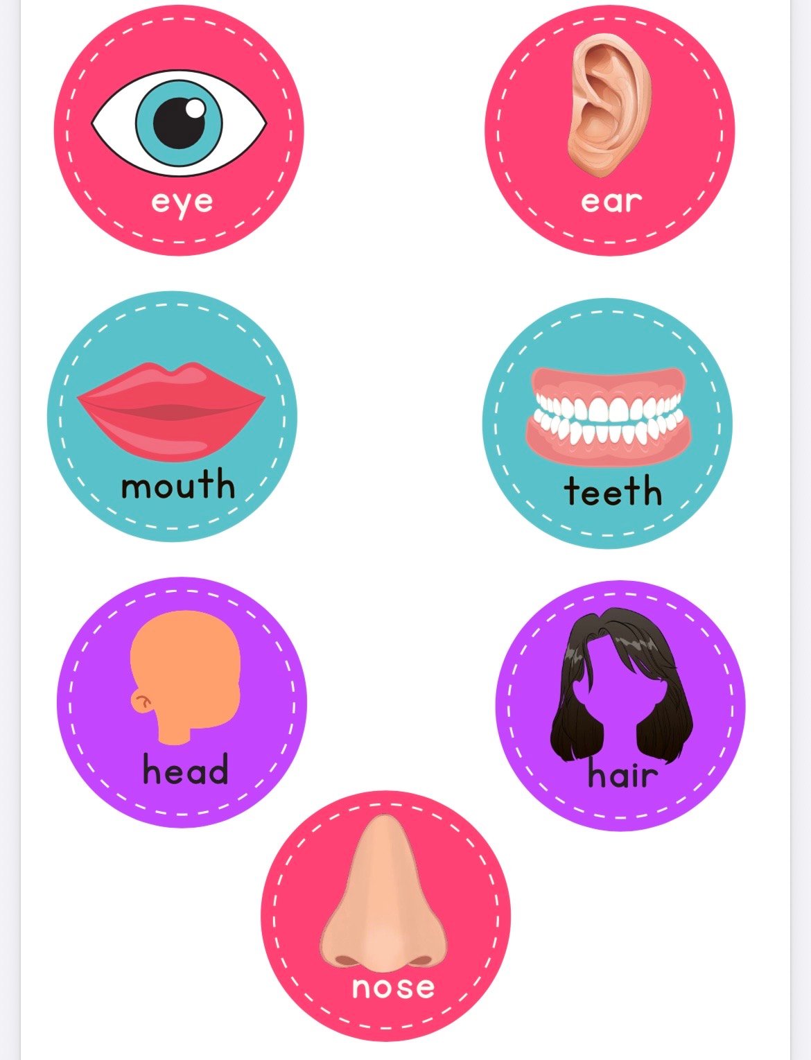 MY BODY INTERACTIVE ACTIVITY - Image 4