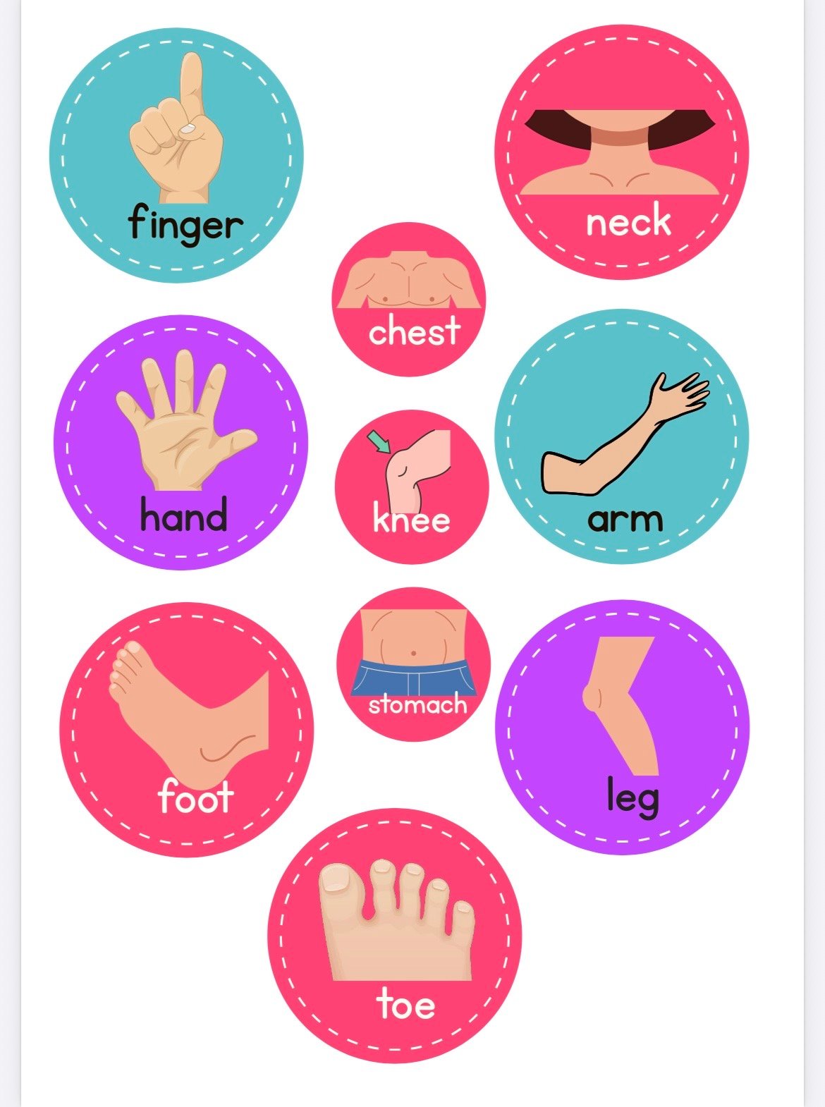 MY BODY INTERACTIVE ACTIVITY - Image 3