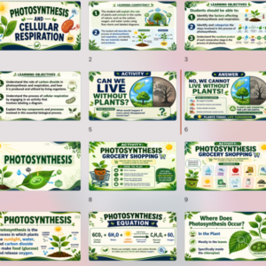 Photosynthesis & Cellular Respiration | Grade 8 Science PowerPoint