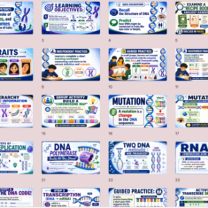 Grade 9 Week 2 Term 2 DNA, Chromosomes and Genes Lesson Plan & PowerPoint | Science 9 MATATAG