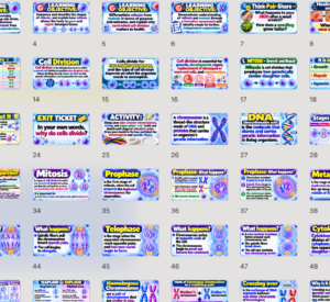 Grade 7 Science Week 1 Term 2 | Mitosis & Meiosis: Understanding Cell Division | PPT + LP + Worksheets | MATATAG Curriculum