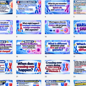 MEIOSIS & FERTILIZATION UNLOCKED! | Grade 7 Science Week 2 Term 2 | LP + PPT + Worksheets | MATATAG