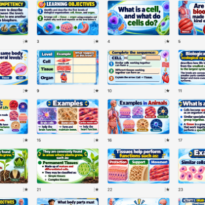 LEVELS OF BIOLOGICAL ORGANIZATION UNLOCKED! | Grade 7 Science Week 4 | ILAW Lesson Plan + PPT + Worksheets