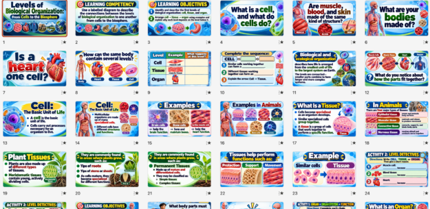 Create Powerpoint Organize LEVELS OF BIOLOGICAL ORGANIZATION UNLOCKED! | Grade 7 Science Week 4 ...