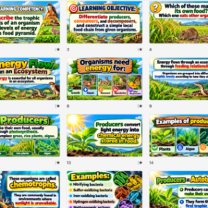 TROPHIC LEVELS UNLOCKED! | Grade 7 Science Term 2 Week 5 | LP + PPT + Worksheets | MATATAG