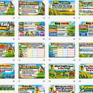 ENERGY ON THE MOVE! | Transfer of Energy in Ecosystems | Grade 7 Science Term 2 Week 6 | PPT + LP + Worksheets | MATATAG