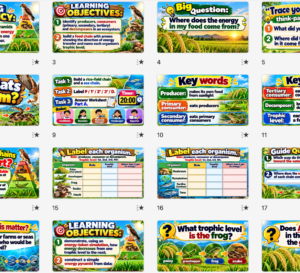 GRADE 7 SCIENCE | WEEK 6: TRANSFER OF ENERGY β Complete MATATAG Bundle with ILAW Lesson Plan, Worksheets & PowerPoint Presentation